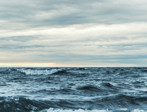 It’s What Friends Do